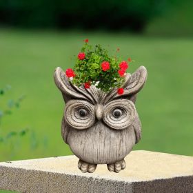 Panam Wood Textured Owl Planter